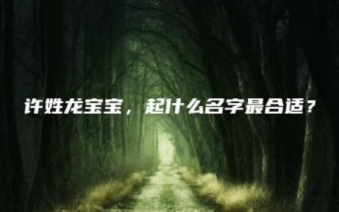 许姓龙宝宝，起什么名字最合适？