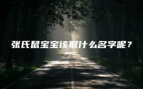 张氏鼠宝宝该取什么名字呢？