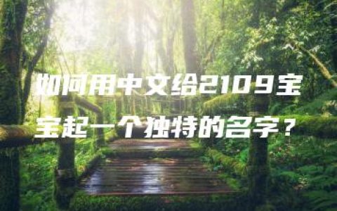 如何用中文给2109宝宝起一个独特的名字？