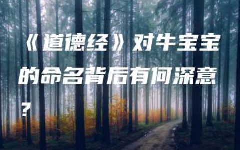 《道德经》对牛宝宝的命名背后有何深意？