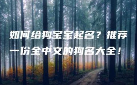 如何给狗宝宝起名？推荐一份全中文的狗名大全！