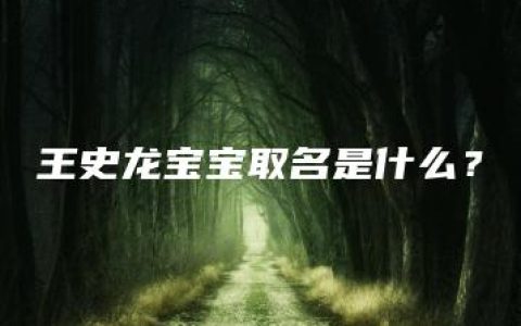 王史龙宝宝取名是什么？