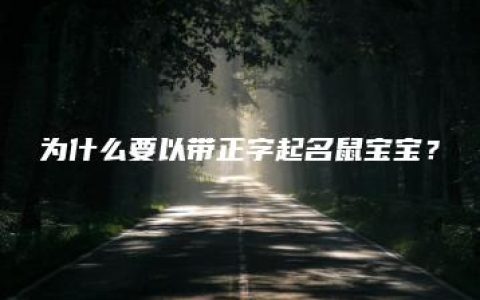 为什么要以带正字起名鼠宝宝？