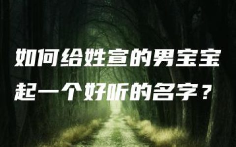 如何给姓宣的男宝宝起一个好听的名字？