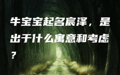 牛宝宝起名宸泽，是出于什么寓意和考虑？