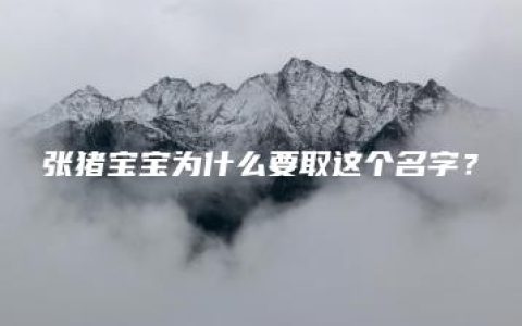 张猪宝宝为什么要取这个名字？