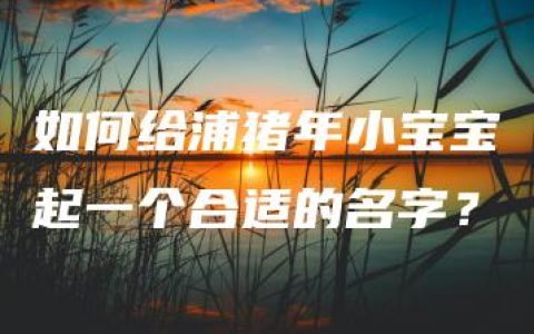 如何给浦猪年小宝宝起一个合适的名字？