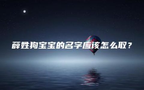 薛姓狗宝宝的名字应该怎么取？