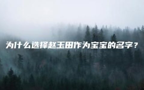 为什么选择赵玉田作为宝宝的名字？