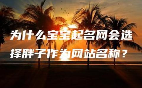 为什么宝宝起名网会选择胖子作为网站名称？