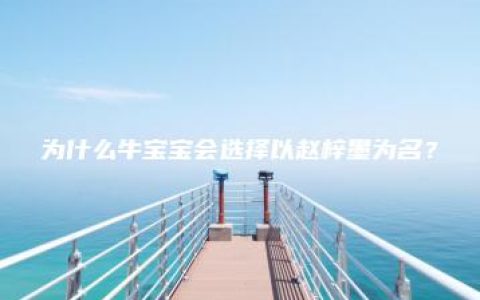 为什么牛宝宝会选择以赵梓墨为名？