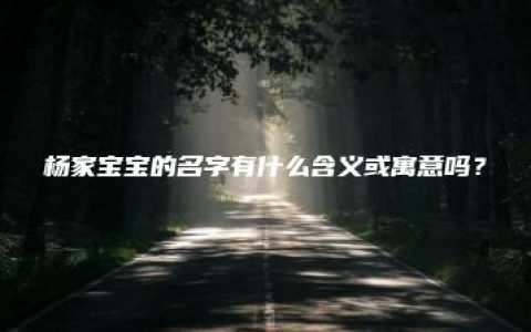 杨家宝宝的名字有什么含义或寓意吗？