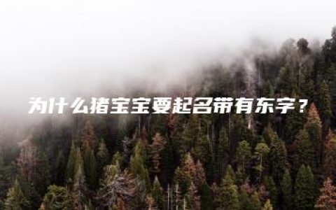 为什么猪宝宝要起名带有东字？