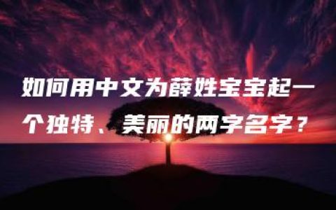 如何用中文为薛姓宝宝起一个独特、美丽的两字名字？