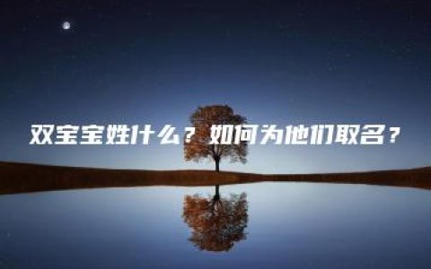 双宝宝姓什么？如何为他们取名？