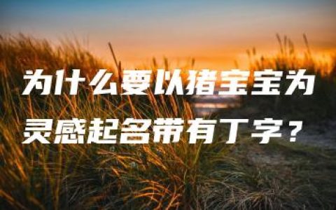 为什么要以猪宝宝为灵感起名带有丁字？