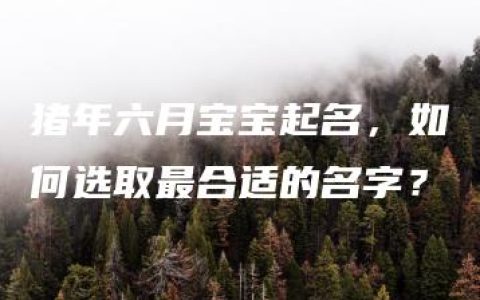 猪年六月宝宝起名，如何选取最合适的名字？