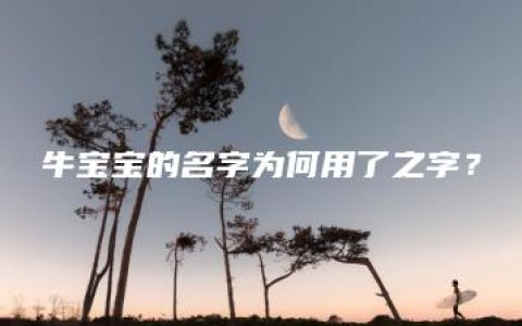 牛宝宝的名字为何用了之字？