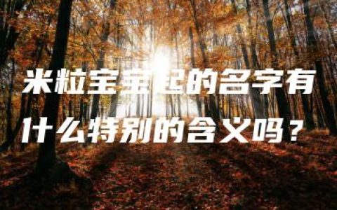 米粒宝宝起的名字有什么特别的含义吗？