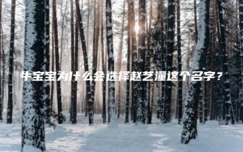 牛宝宝为什么会选择赵艺潼这个名字？