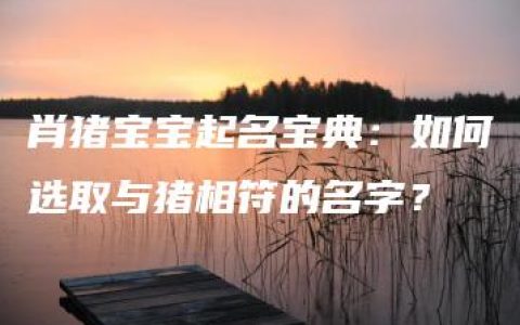 肖猪宝宝起名宝典：如何选取与猪相符的名字？