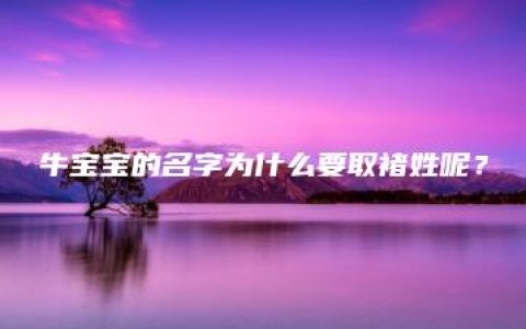 牛宝宝的名字为什么要取褚姓呢？