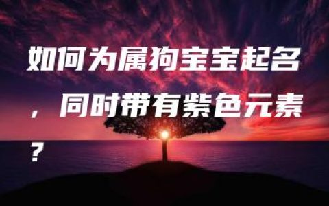 如何为属狗宝宝起名，同时带有紫色元素？