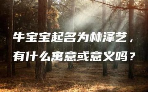 牛宝宝起名为林泽艺，有什么寓意或意义吗？