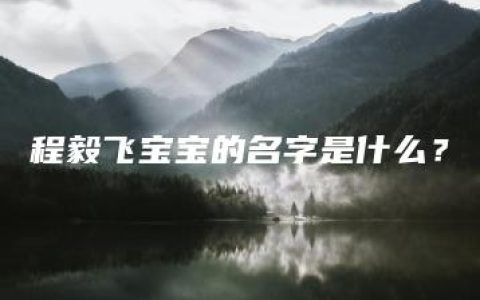 程毅飞宝宝的名字是什么？