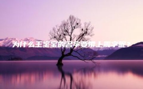 为什么王宝宝的名字要带上震字呢？