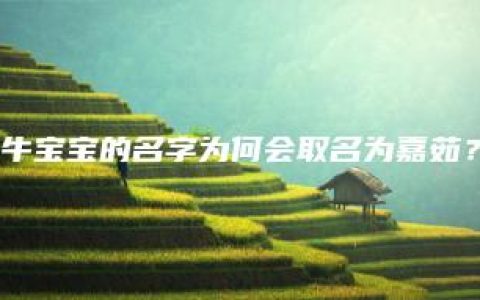 牛宝宝的名字为何会取名为嘉茹？