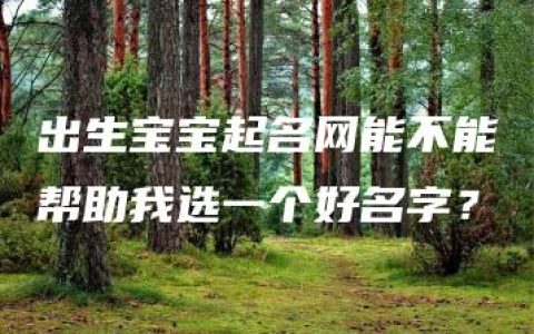 出生宝宝起名网能不能帮助我选一个好名字？