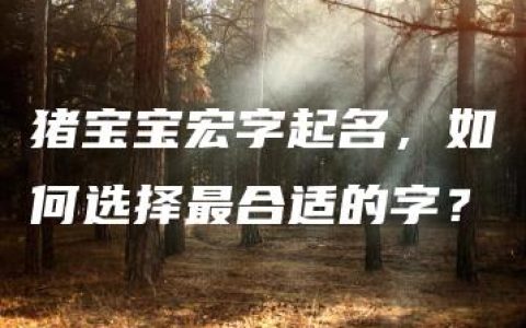 猪宝宝宏字起名，如何选择最合适的字？