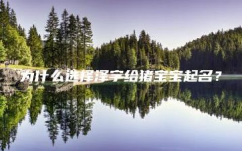 为什么选择泽字给猪宝宝起名？