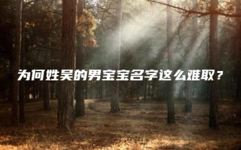 为何姓吴的男宝宝名字这么难取？