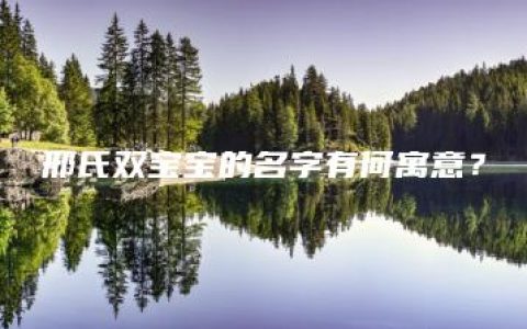 邢氏双宝宝的名字有何寓意？