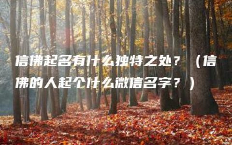 信佛起名有什么独特之处？（信佛的人起个什么微信名字？）