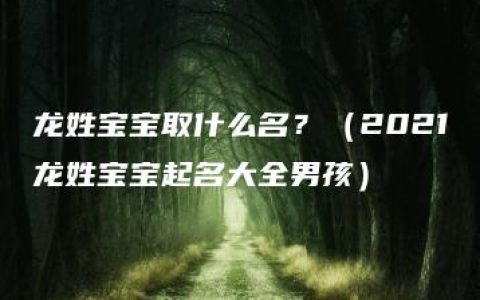 龙姓宝宝取什么名？（2021龙姓宝宝起名大全男孩）