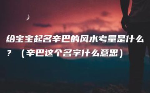 给宝宝起名辛巴的风水考量是什么？（辛巴这个名字什么意思）