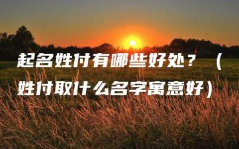 起名姓付有哪些好处？（姓付取什么名字寓意好）