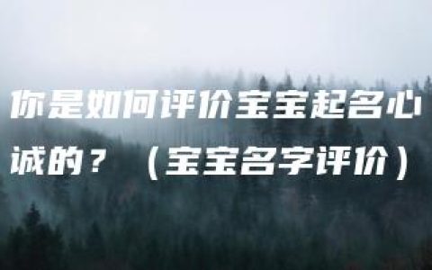 你是如何评价宝宝起名心诚的？（宝宝名字评价）