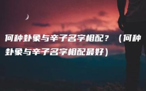 何种卦象与辛子名字相配？（何种卦象与辛子名字相配最好）