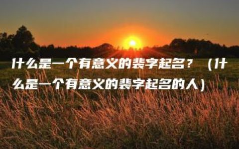 什么是一个有意义的裴字起名？（什么是一个有意义的裴字起名的人）