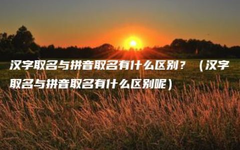 汉字取名与拼音取名有什么区别？（汉字取名与拼音取名有什么区别呢）