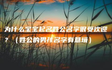 为什么宝宝起名姓公名字很受欢迎？（姓公的男孩名字有意境）