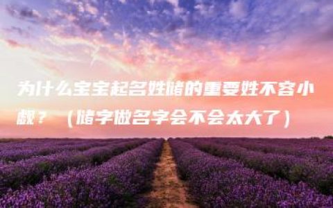 为什么宝宝起名姓储的重要姓不容小觑？（储字做名字会不会太大了）