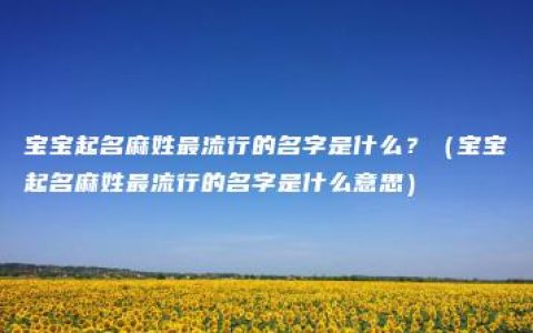 宝宝起名麻姓最流行的名字是什么？（宝宝起名麻姓最流行的名字是什么意思）