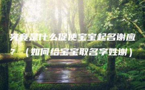 究竟是什么促使宝宝起名谢应？（如何给宝宝取名字姓谢）