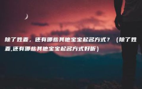 除了姓麦，还有哪些其他宝宝起名方式？（除了姓麦,还有哪些其他宝宝起名方式好听）