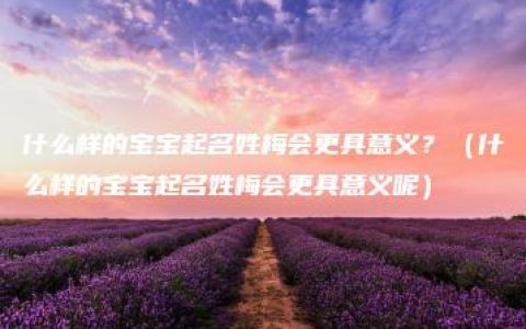 什么样的宝宝起名姓梅会更具意义？（什么样的宝宝起名姓梅会更具意义呢）